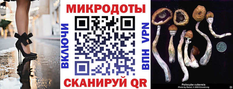 ОМГ ОМГ ссылки Волхов Псилоцибиновые грибы Magic Shrooms купить наркотик
