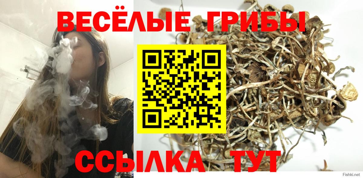 Галлюциногенные грибы ЛСД  Вход с VPN  Галлюциногенные грибы Psilocybe  Волхов 