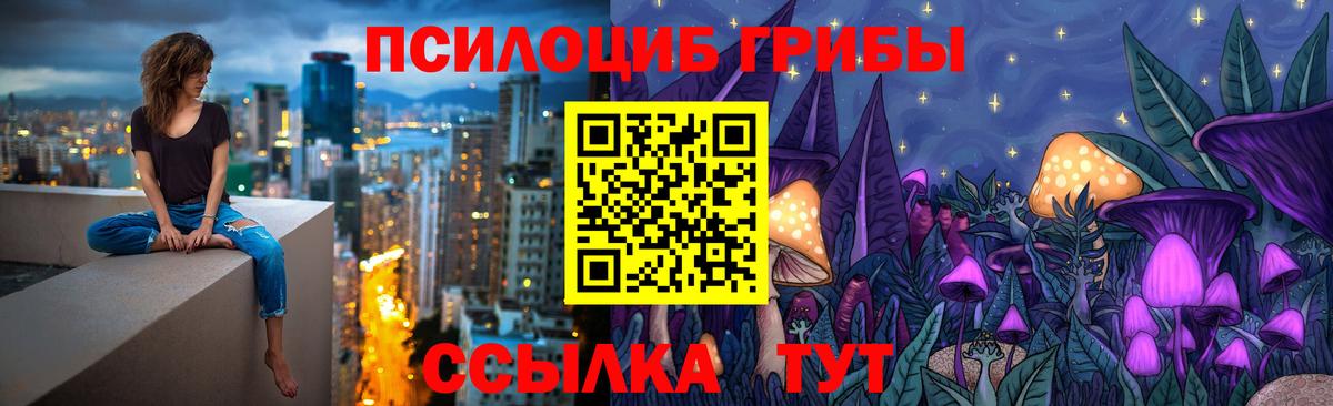 Псилоцибиновые грибы GOLDEN TEACHER  Вход с VPN  Волхов 