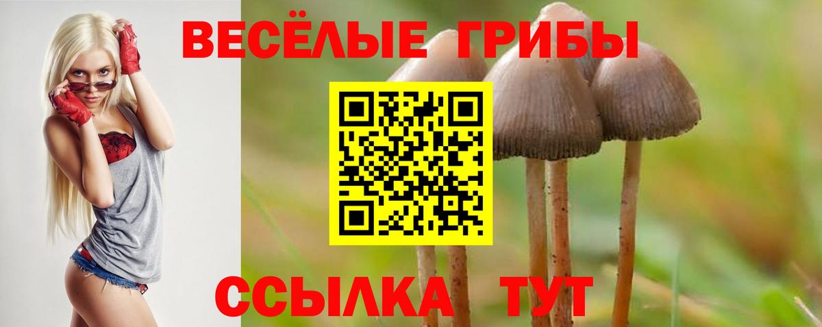 Галлюциногенные грибы Cubensis Волхов