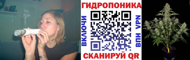 Канабис VHQ  купить наркотики сайты  Волхов 